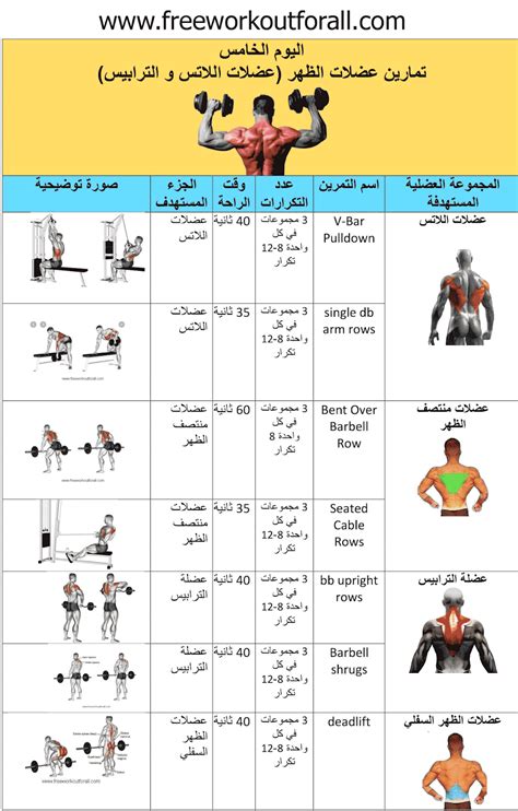 جدول تمارين كمال اجسام اسبوعي بالصور - أفكار خلفية