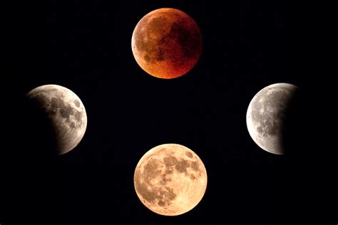 Cómo, cuándo y dónde observar el eclipse lunar parcial de noviembre 2021, el más largo del siglo ...