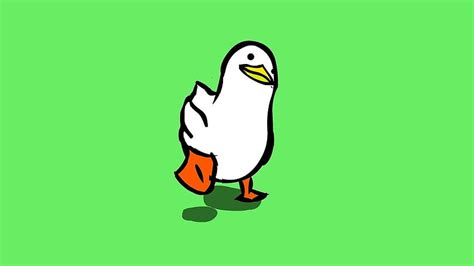 1366x768px, 720P Free download | Funny Walking Duck Animated, funny ...