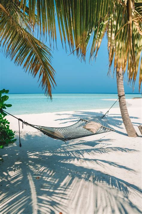 Four Seasons Voavah Private Island hammock | Maldives resort, Dream ...