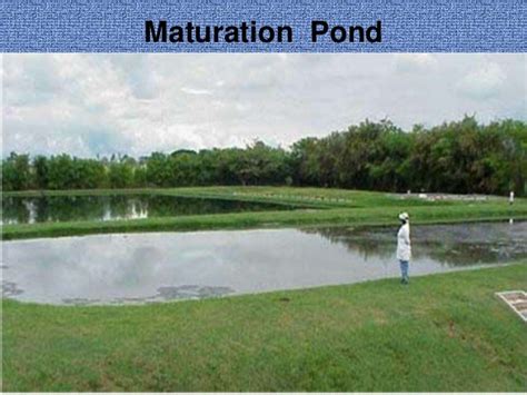 Waste Stabilisation pond design