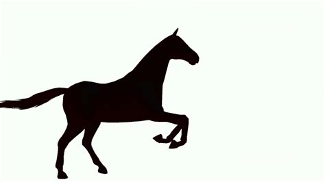 Galloping Horses Silhouette at GetDrawings | Free download