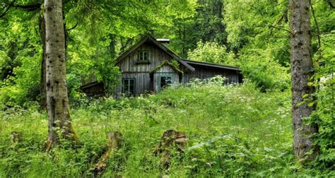 Tinker’s Bubble is a sustainable forest community living almost ...