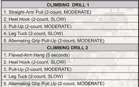 Army Physical Readiness Training Quick Reference Card 2023 - Army PRT