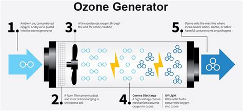 The Difference Between Air Ionizer vs Air Purifier: Features Explained