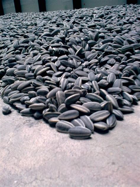 Ai Weiwei Sunflower seeds by DaiikonRadish on DeviantArt