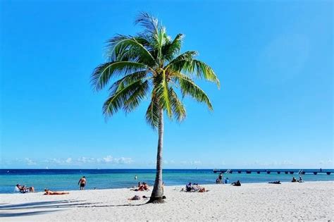 Key West Florida beaches! Free Higgs Beach snorkeling 🐠 so many fish in ...