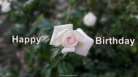 Happy birthday, white roses images