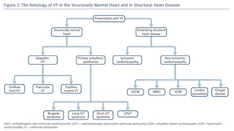 The Aetiology of VT in the Structurally Normal Heart and in Structural ...