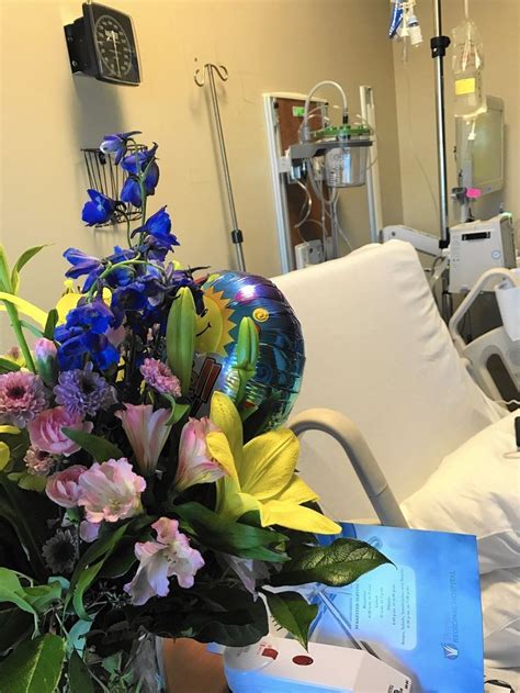 Image result for hospital flowers | Hospital flowers, Flowers, Plants