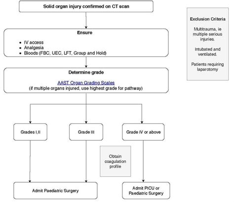 Solid organ injury clinical pathway