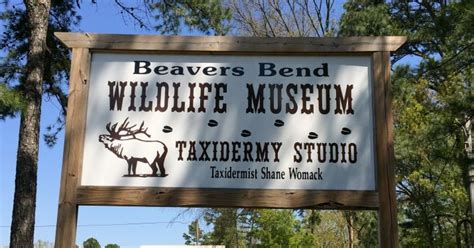 Beavers Bend Wildlife Museum | Broken Bow Area Taxidermy | Beaver bend, Beaver, Wildlife