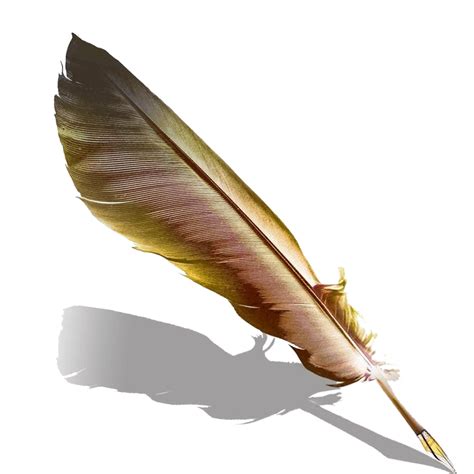 Pen Fountain Feather Quill HD Image Free PNG Transparent HQ PNG Download | FreePNGImg