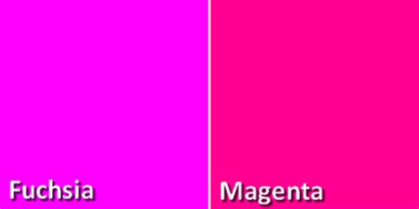 Magenta and Fuschia Color Palette
