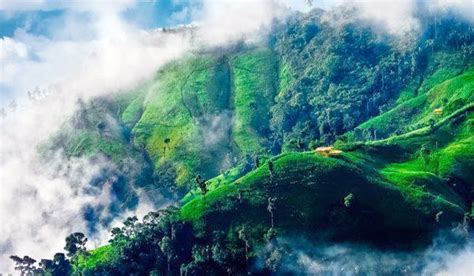 Chimbuk Hill Bandarban, Bangladesh | About Bangladesh Tourism and Tourist Attractions in All ...