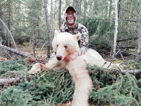 Manitoba - All Terrain Bear Hunts - Outfitter List - Bear Hunting Magazine