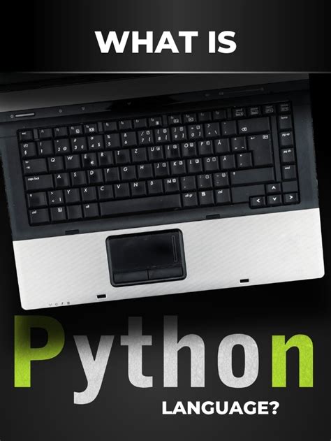 Introduction To Python Programming - The Next Tech