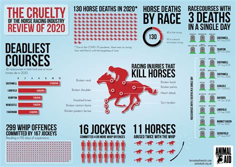 Race horse welfare takes a backwards step during 2020 - Animal Aid