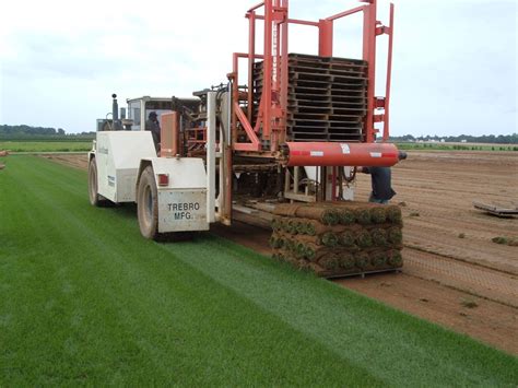 Sod Installation Guide – the 7 Main Steps to Installing Sod for Your Lawn