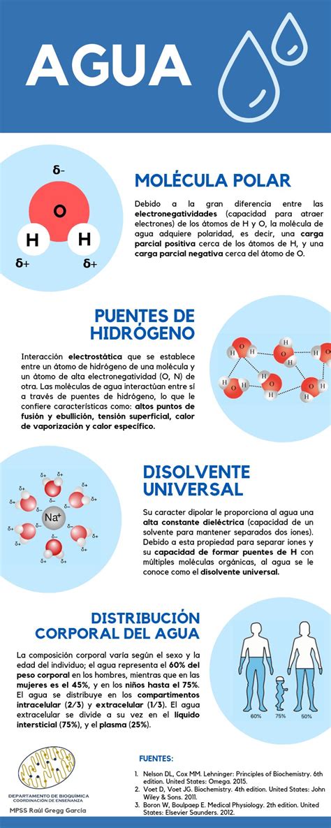 Infografía: propiedades físico-químicas del agua(Coordinación de Enseñanza Bioquímica) – Agua.org.mx