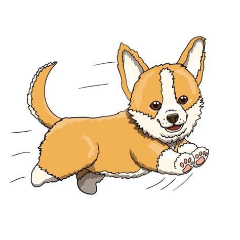 Best Dog Chasing Tail Illustrations, Royalty-Free Vector Graphics & Clip Art - iStock