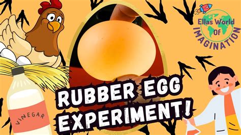 Easy Science Experiment For Kids - Rubber Egg! - YouTube