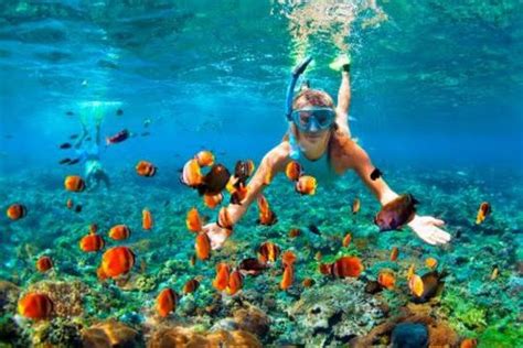 Ras Muhammad National Park: Snorkeling Tour w/ White Island - Egypt ...