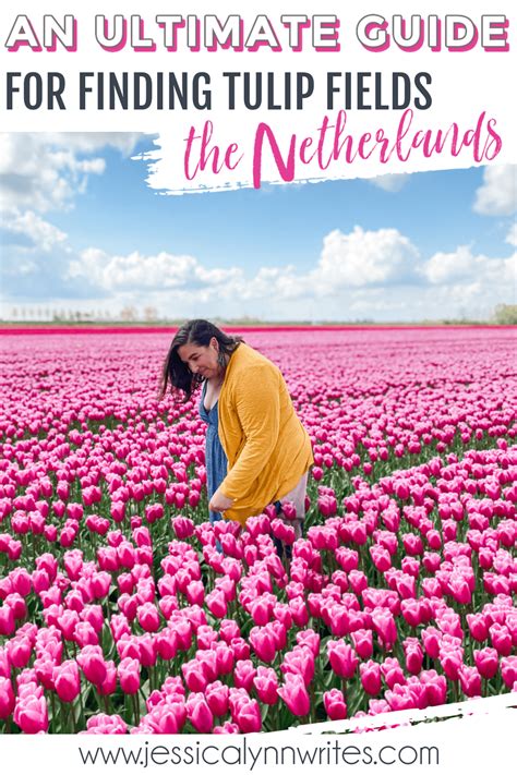 The Absolute Best Places to See Tulip Fields in the Netherlands ...