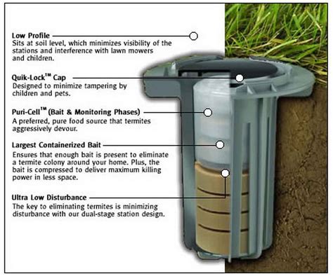 Baiting System, a Major DIY Termite Control You Can Try At Home