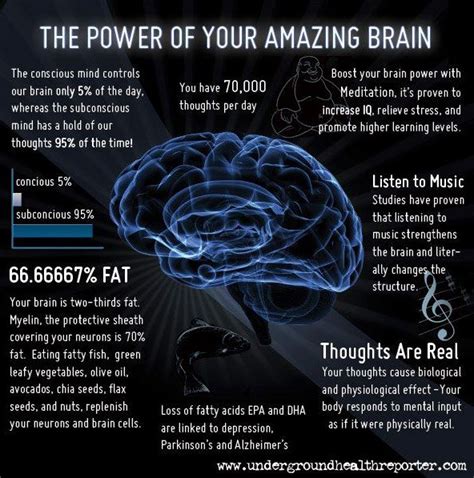 The Brain And Music Quotes. QuotesGram