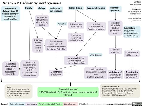 Vitamin D Deficiency: Pathogenesis | Calgary Guide