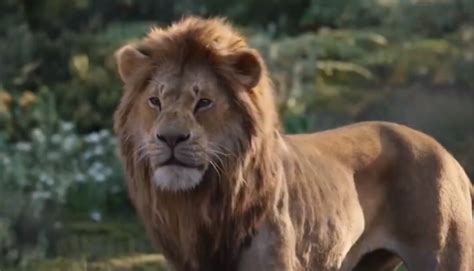 Simba confronts Scar in The Lion King TV spot