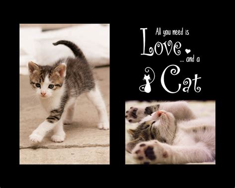 Pets Collage Templates – Discovery Center Store