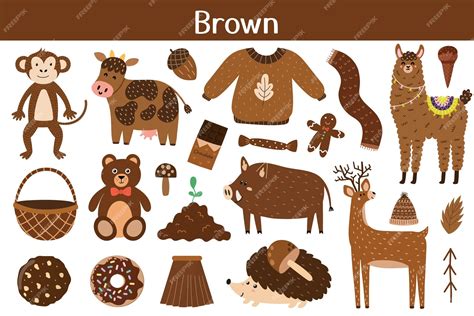 Premium Vector | Brown color objects set learning colors for kids cute elements collection ...