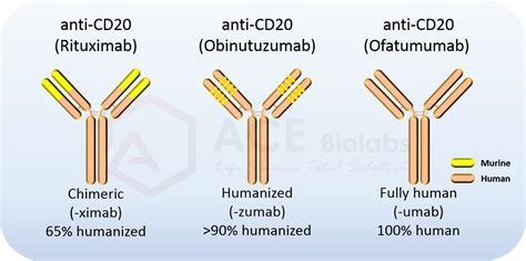 In Vivo Mab | in vivo grade humanized monoclonal antibody with ultra ...