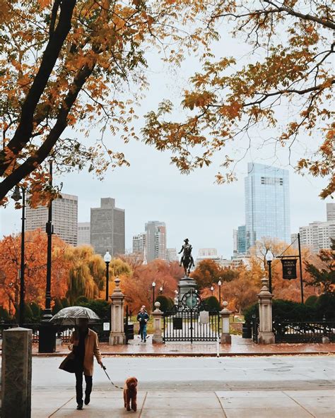 Boston Public Garden Fall Foliage [10/01/24]