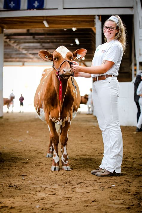 Cattle Show - Expo Ormstown