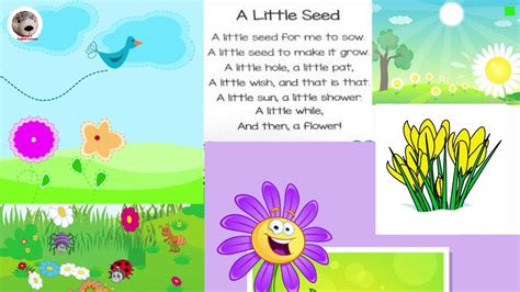 Flower Poems For Kids