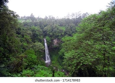 155 Cimahi Waterfall Images, Stock Photos & Vectors | Shutterstock