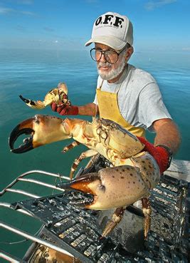 Florida's 2012 Stone Crab Season - Stone Crab Habitat - BD | Bloodydecks