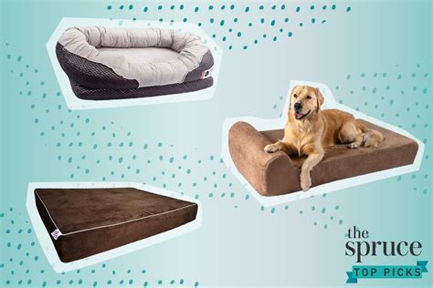 The 7 Best Orthopedic Dog Beds of 2021