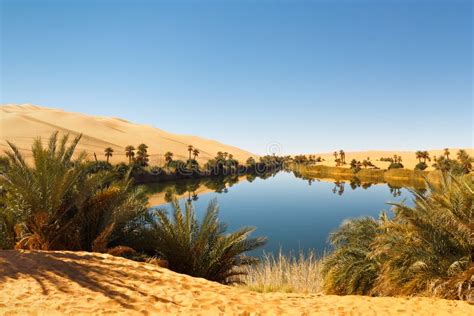 Download Umm Al-Ma Lake - Desert Oasis, Sahara, Libya Stock Image ...