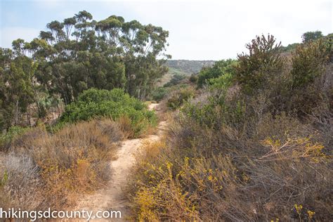 Carmel Mountain Preserve - Hiking San Diego County