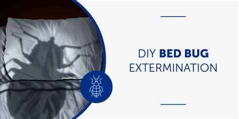 DIY Bed Bug Extermination | Bug & Weed Mart