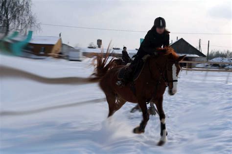 How to ride a horse fast? - Horseback Riding Information and Facts