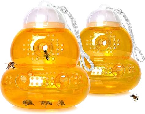 Buy Outdoor Wasp & Bee Trap Set - 2 Pack Online Philippines | Ubuy