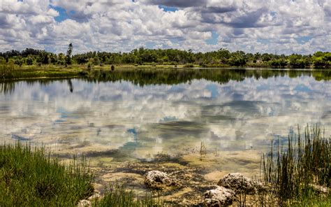 The Everglades: So Much More Than a National Park - Captain Mitch's * Everglades Airboat rides