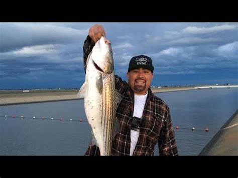 California Aqueduct Fishing Big Striped Bass Grilled On The Weber - YouTube