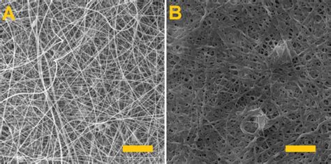 The PVA/alginate fiber layer with albumin. (A) Fiber layer before ...