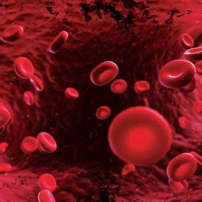 Direct Thrombin and Factor Xa Inhibitors | MDedge Emergency Medicine